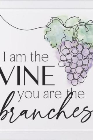 656200524060 I Am The Vine You Are The Branches