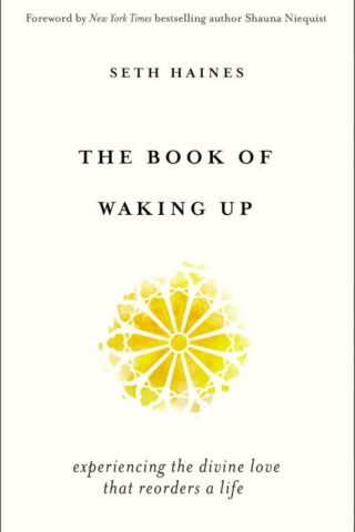 9780310353966 Book Of Waking Up