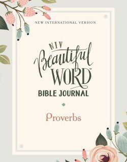 9780310456056 Beautiful Word Bible Journal Proverbs Comfort Print