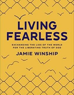 9780800740290 Living Fearless : Exchanging The Lies Of The World For The Liberating Truth