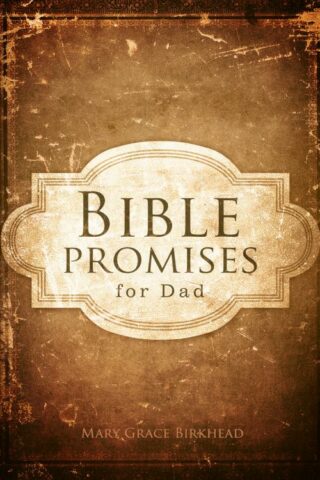 9781433679704 Bible Promises For Dad