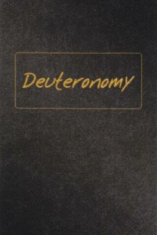9781601781864 Deuteronomy : Journible The 17:18 Series